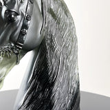 Spirit of the Black Horse